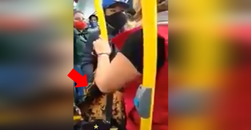 Expulsan del autobús a la mujer que llevaba a su pequeño perrito oculto en su bolso Expulsan del autobús a la mujer que llevaba a su pequeño perrito oculto en su bolso