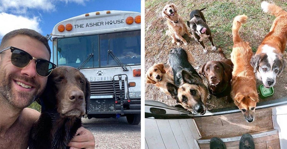 En una humilde casa rodante recorre kilómetros con sus perros rescatando a decenas de animales