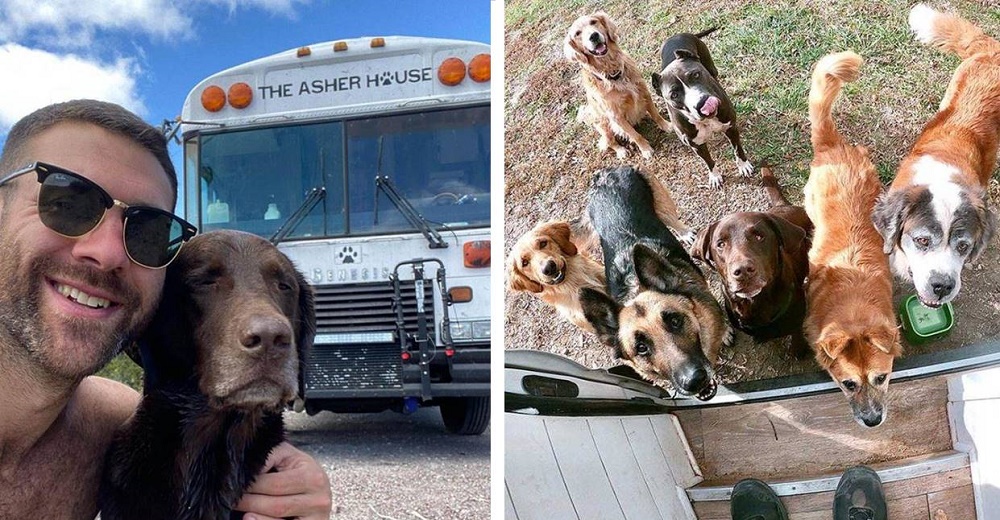 En una humilde casa rodante recorre kilómetros con sus perros rescatando a decenas de animales En una humilde casa rodante recorre kilómetros con sus perros rescatando a decenas de animales