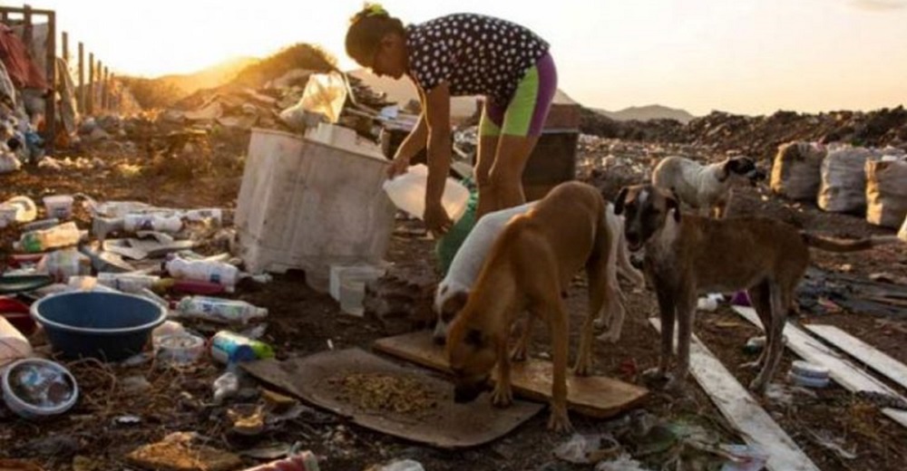 Una mujer es vista acudiendo diariamente a un vertedero de basura donde viven perros y gatos