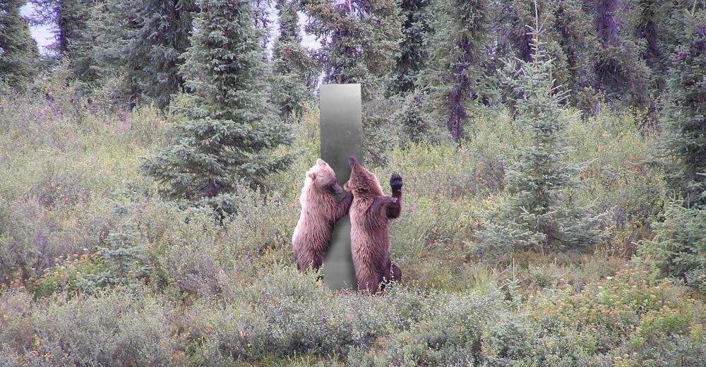 La foto viral de la reacción de dos osos ante un nuevo monolito colapsa las redes