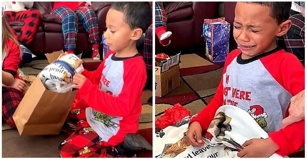 Señalan el polémico regalo a un desconsolado niño para recordarle que su perrito ya murió