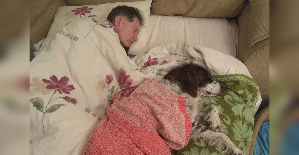 Papá duerme en el sofá para acompañar a su perro anciano que ya no puede subir las escaleras Papá duerme en el sofá para acompañar a su perro anciano que ya no puede subir las escaleras