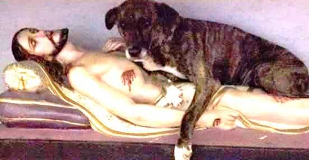 Encuentran a un perro acurrucado a la estatua de Cristo muerto y piden al sacerdote que lo eche Encuentran a un perro acurrucado a la estatua de Cristo muerto y piden al sacerdote que lo eche