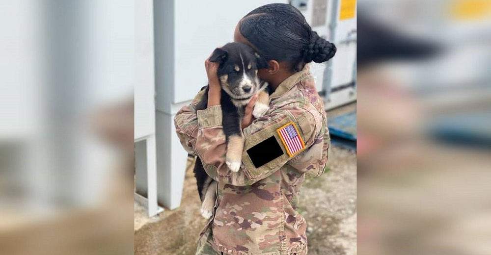 Se reencuentra con el perrito que salvó mientras cumplía un servicio del ejército en otro país