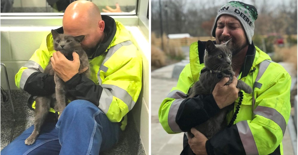 Un conductor de camión llora cuando se reencuentra con su gato tras meses buscándolo