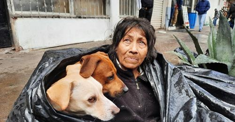 Afligida y desconsolada, se niega a ir a un refugio porque nadie la quiere con sus 6 perros