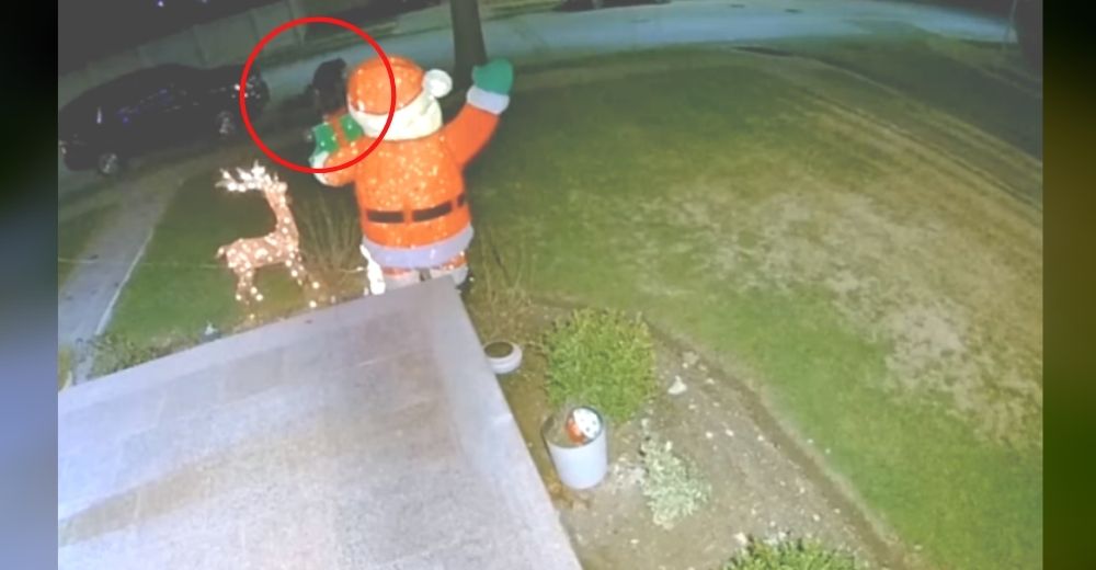 Ofrecen 5.000 dólares para capturar al sujeto grabado arremetiendo repetidamente contra un perro Ofrecen 5.000 dólares para capturar al sujeto grabado arremetiendo repetidamente contra un perro
