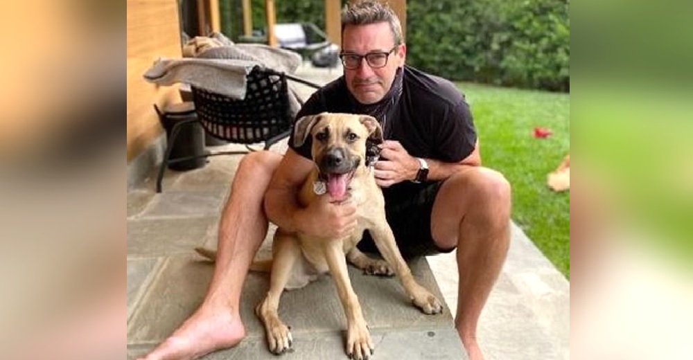 El actor Jon Hamm adopta al perro afligido tras ser rechazado injustamente por 2 familias El actor Jon Hamm adopta al perro afligido tras ser rechazado injustamente por 2 familias