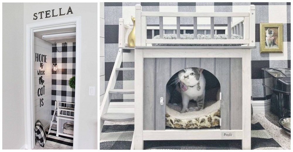 Una gatita descubre que tiene la habitación más hermosa sólo para ella y se hace viral Una gatita descubre que tiene la habitación más hermosa sólo para ella y se hace viral