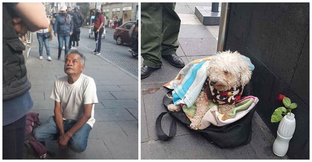 El dulce anciano que vende chicles para alimentar a su perrito llora desconsolado por su amigo El dulce anciano que vende chicles para alimentar a su perrito llora desconsolado por su amigo
