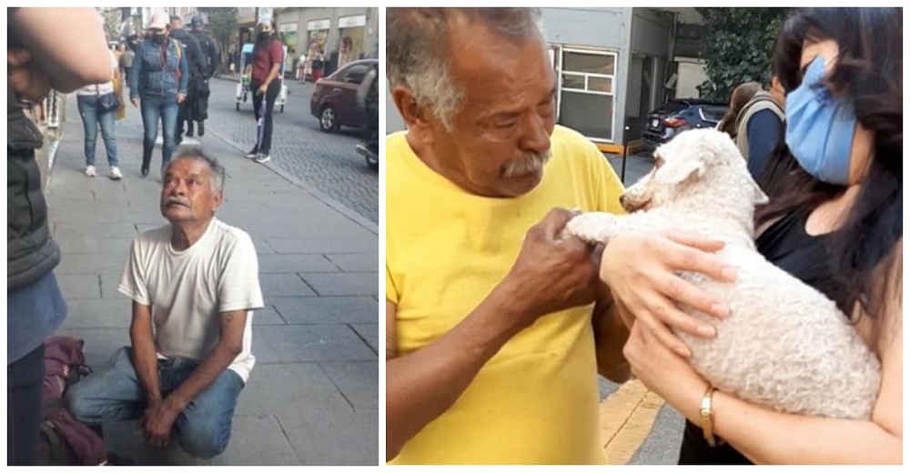 Aparece el perrito del dulce anciano que vendía en las calles tras días de llorar por su amigo Aparece el perrito del dulce anciano que vendía en las calles tras días de llorar por su amigo