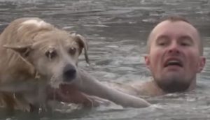 Un reportero salta al agua helada para intentar salvar a un perro en plena transmisión en vivo