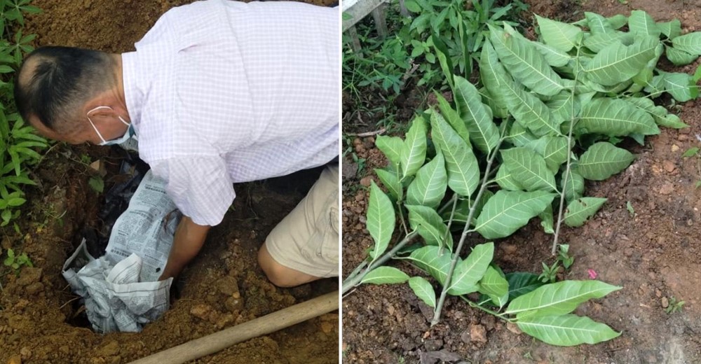 Un hombre tira en el campo a su perrito sin vida y captan a su vecino despidiéndolo como merece