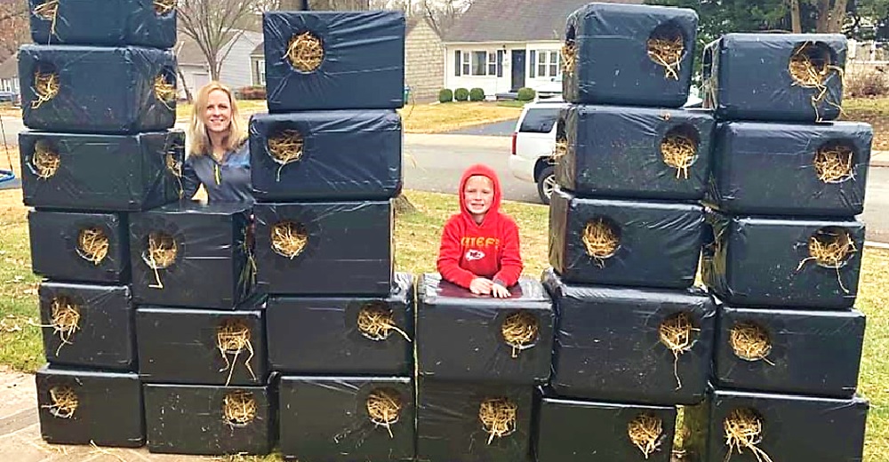 Madre e hijo construyen las casitas perfectas para gatitos y las dejan en la calle