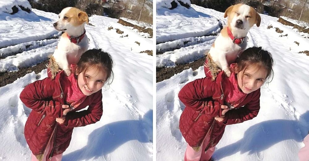 Niña recorre kilómetros en la nieve suplicando ayuda con su perrito enfermo a cuestas