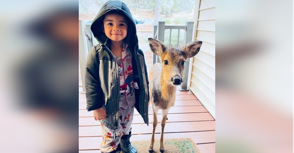 Un niño de 4 años sale a pasear y aparece en su casa con un nuevo amigo