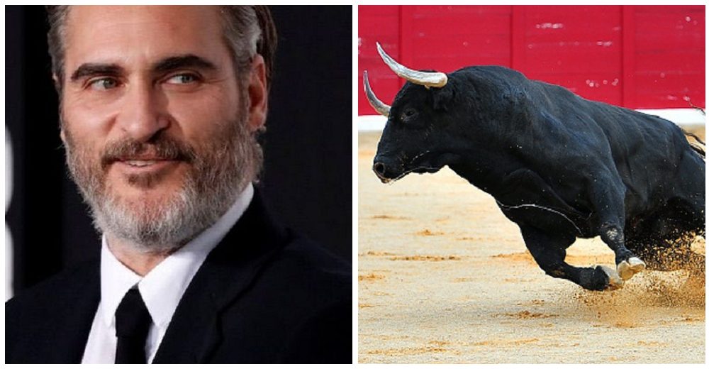 «El Joker» responde a un director de cine tras rechazar un importante papel como torero