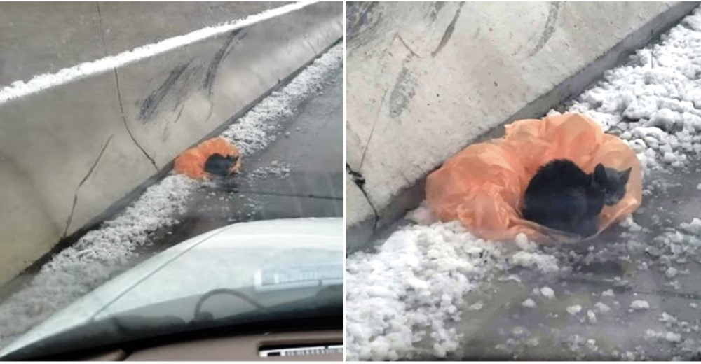 Una bolsa plástica fue lo único que halló para acurrucarse entre la nieve, el lodo y el peligro