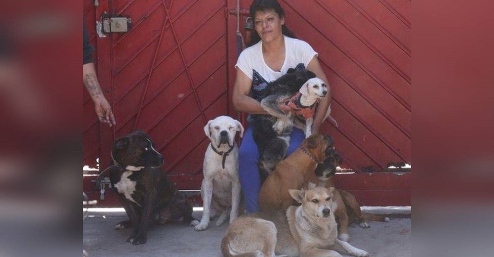 Aunque no tiene recursos acoge en su casa a más de 100 perritos de la calle que necesitan ayuda