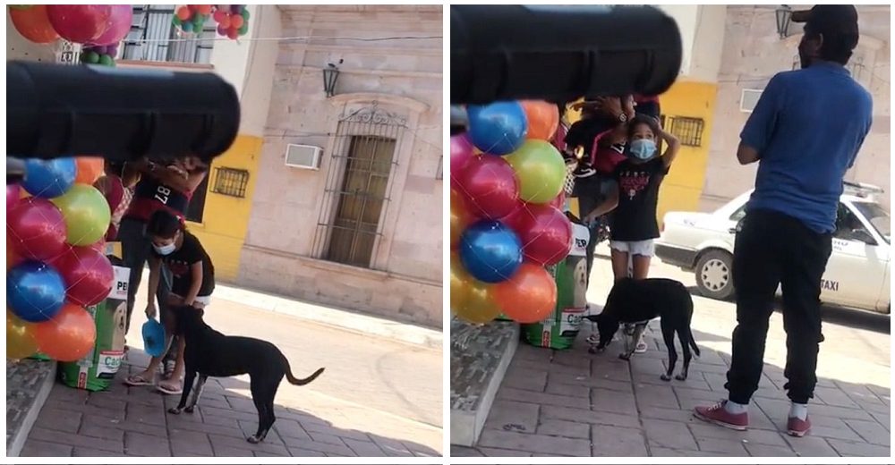 Señalan a la niña que fue grabada robando para poder alimentar a un perro –»¿El robo más noble?»