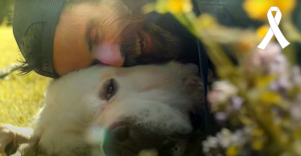 El último video que Pau Donés grabó antes de morir para despedirse de su amado perro Fideos El último video que Pau Donés grabó antes de morir para despedirse de su amado perro Fideos