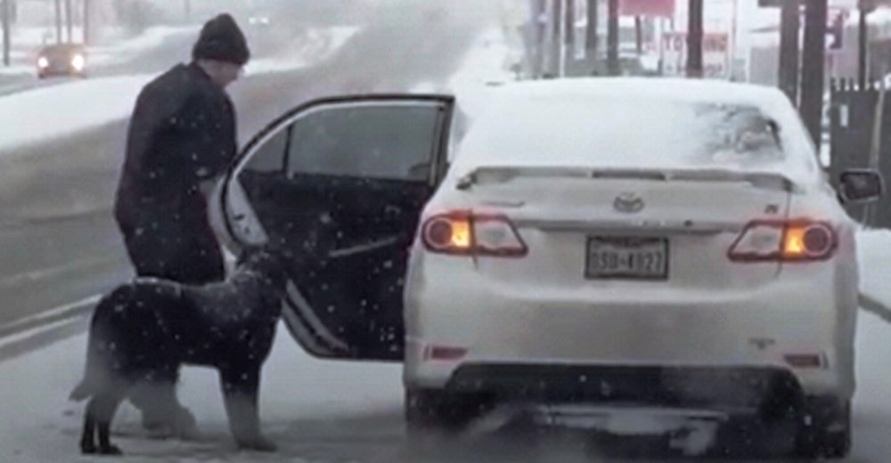 Graban a una mujer luchando por meter a un perro en su auto bajo la histórica nevada Graban a una mujer luchando por meter a un perro en su auto bajo la histórica nevada