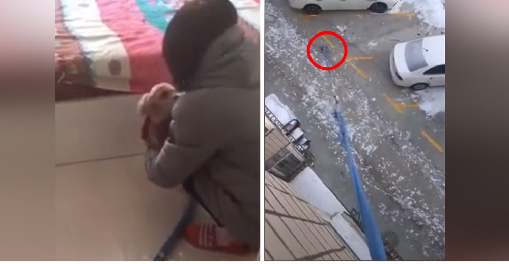 Se graban descolgando a su perro atado a una cadena de ropa desde el tercer piso Se graban descolgando a su perro atado a una cadena de ropa desde el tercer piso