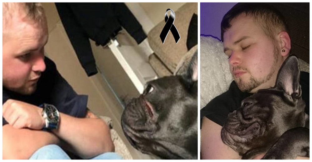 Perrito fiel no aguanta la tristeza y cruza el arcoíris 15 minutos después de morir su dueño Perrito fiel no aguanta la tristeza y cruza el arcoíris 15 minutos después de morir su dueño
