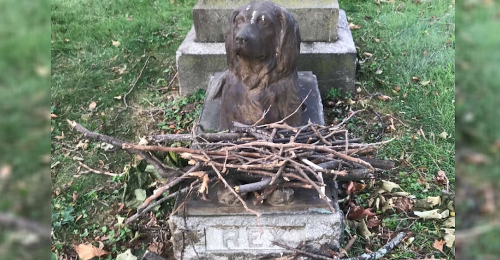 La gente deja palos en la tumba de un perrito de 100 años La gente deja palos en la tumba de un perrito de 100 años