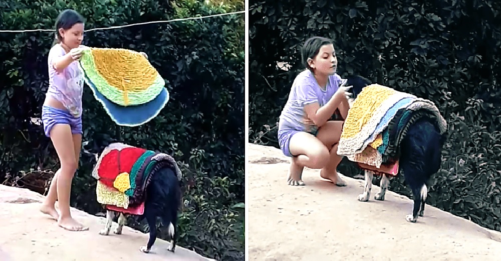 Madre descubre a su hija usando a su dócil perrita para las tareas del hogar Madre descubre a su hija usando a su dócil perrita para las tareas del hogar