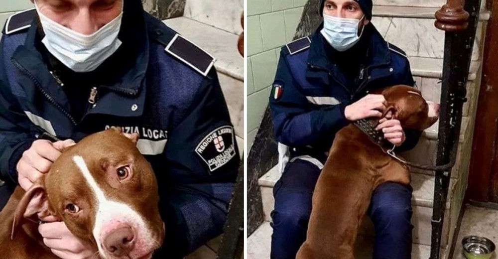 Policía consuela al perrito que dejaron atado a la barandilla durante horas sin poder moverse