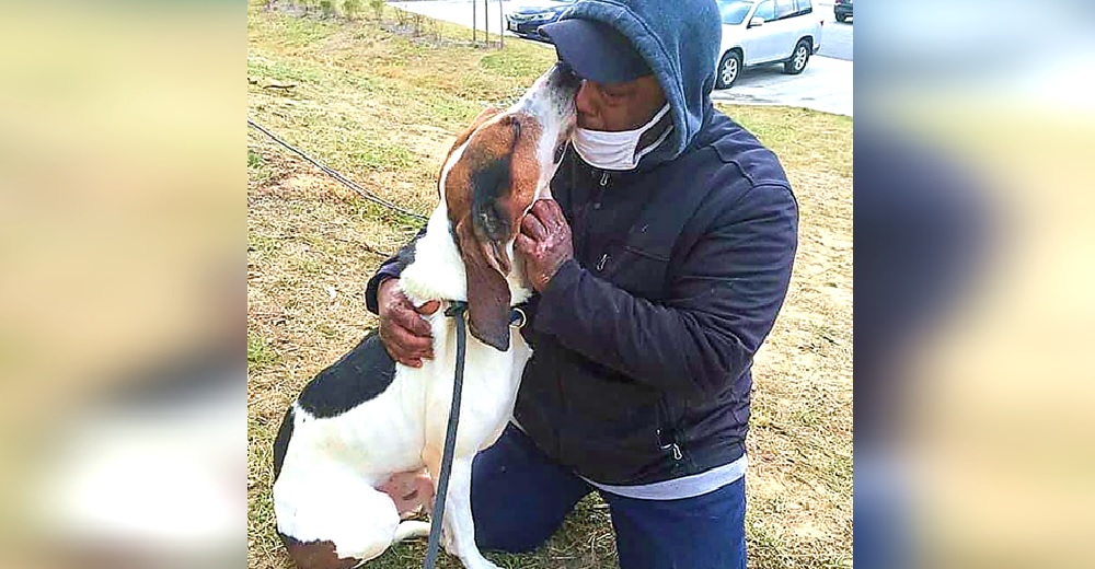 Queda en coma tras una explosión en su casa y jamás se rindió para reencontrarse con su perro Queda en coma tras una explosión en su casa y jamás se rindió para reencontrarse con su perro