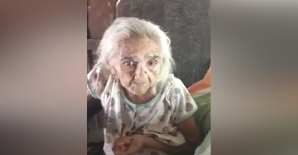Una abuelita de 102 años suplica que le regresen a su lorito decomisado por la Policía