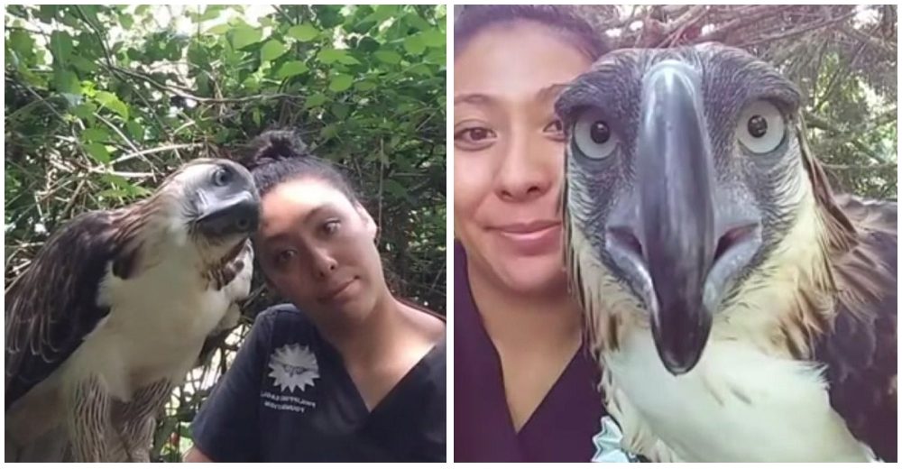 Un águila posa frente a la cámara junto a la mujer que percibe como el gran amor de su vida