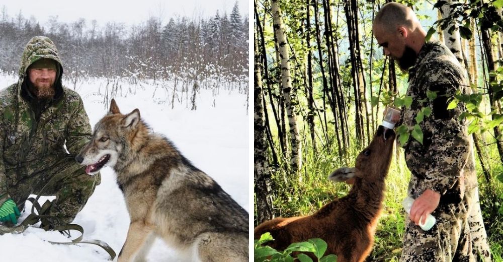 Soldado se retira a un bosque para cuidar de criaturas salvajes huérfanas por culpa de cazadores