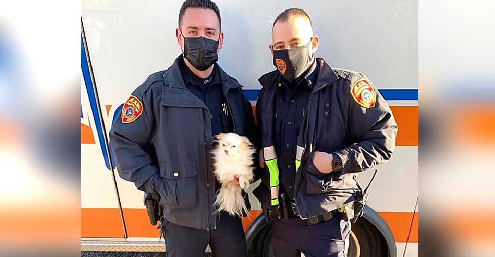 La familia logra escapar de las llamas pero sus mascotas no, así que los policías toman acciones