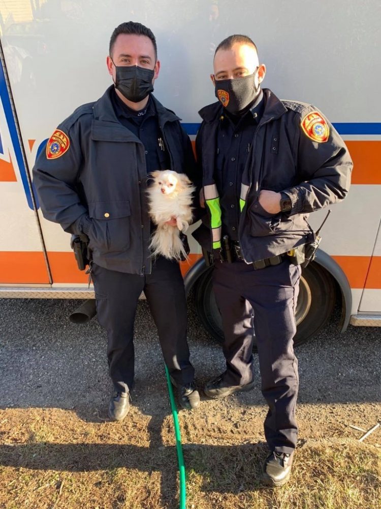La familia logra escapar de las llamas pero sus mascotas no, así que