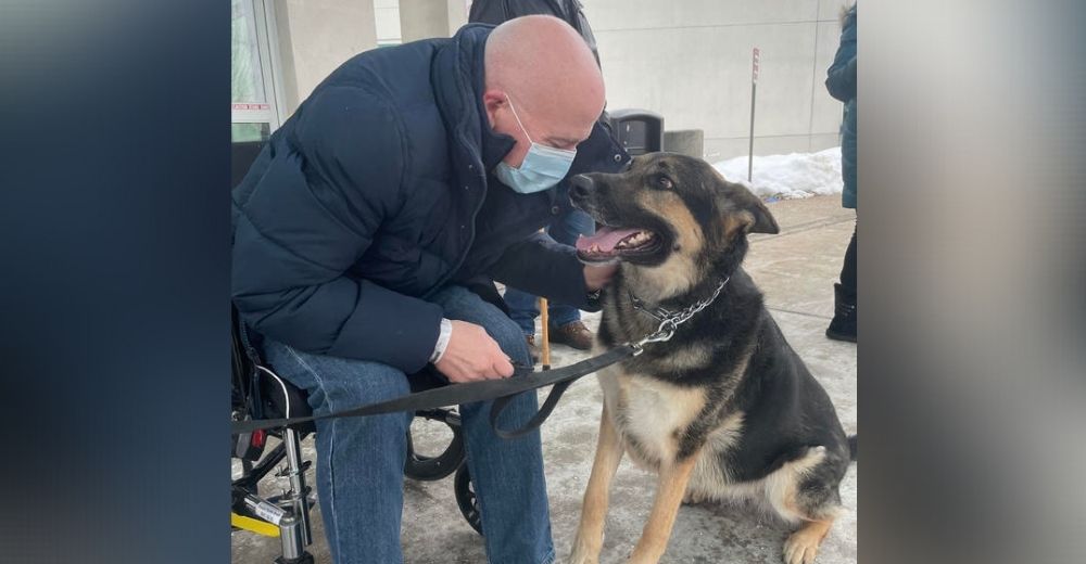 Adopta a la perrita que nadie quería y le agradece salvándolo cuando sufrió un derrame cerebral