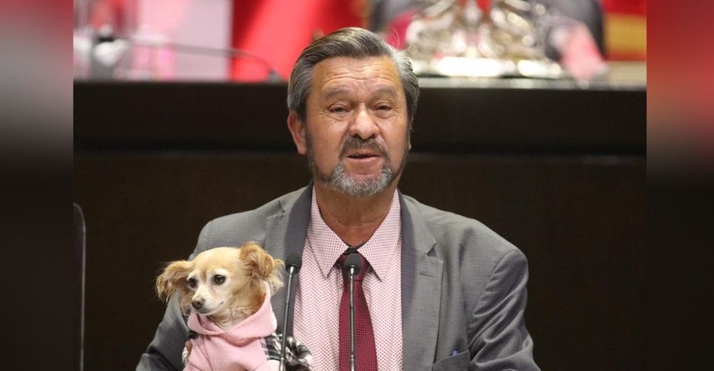 Diputado acude a la Asamblea con su perrita y consigue leyes históricas en favor de los animales Diputado acude a la Asamblea con su perrita y consigue leyes históricas en favor de los animales