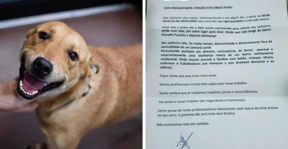 Vecinos denuncian las amenazas que reciben para deshacerse de sus mascotas cuanto antes Vecinos denuncian las amenazas que reciben para deshacerse de sus mascotas cuanto antes