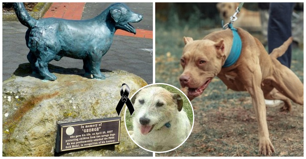 Perrito que murió por salvar a 5 niños de unos pitbulls, ya tiene su propia estatua