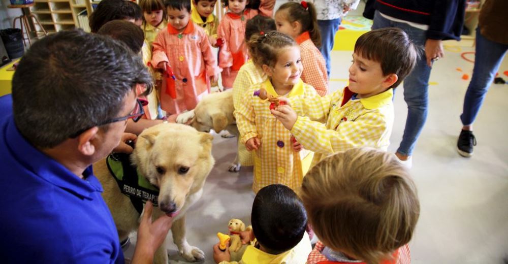 Ya no habrá adultos maltratadores– Desde pequeñitos tendrán como asignatura la Protección Animal