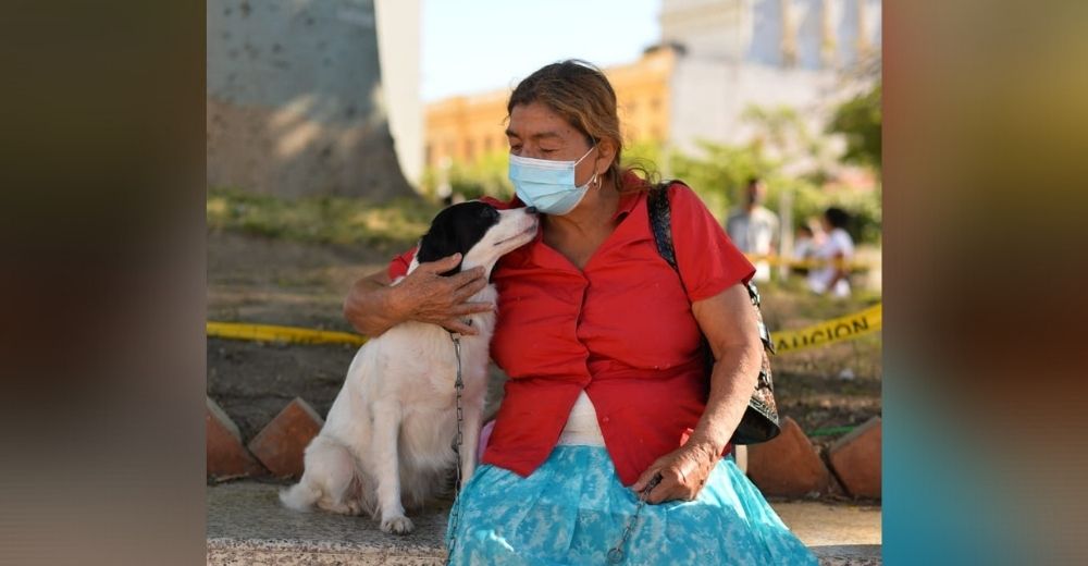 Hombre echa a la calle a su inquilina de 68 años y a su perrita, dejándolas en total desamparo Hombre echa a la calle a su inquilina de 68 años y a su perrita, dejándolas en total desamparo