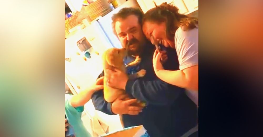 Llora al recibir a un cachorrito que llegó para consolarlo tras la trágica pérdida que sufrió Llora al recibir a un cachorrito que llegó para consolarlo tras la trágica pérdida que sufrió