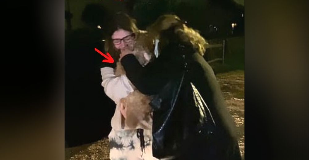 La joven que acudió a las redes denunciando el robo de su perrita finalmente logra recuperarla La joven que acudió a las redes denunciando el robo de su perrita finalmente logra recuperarla