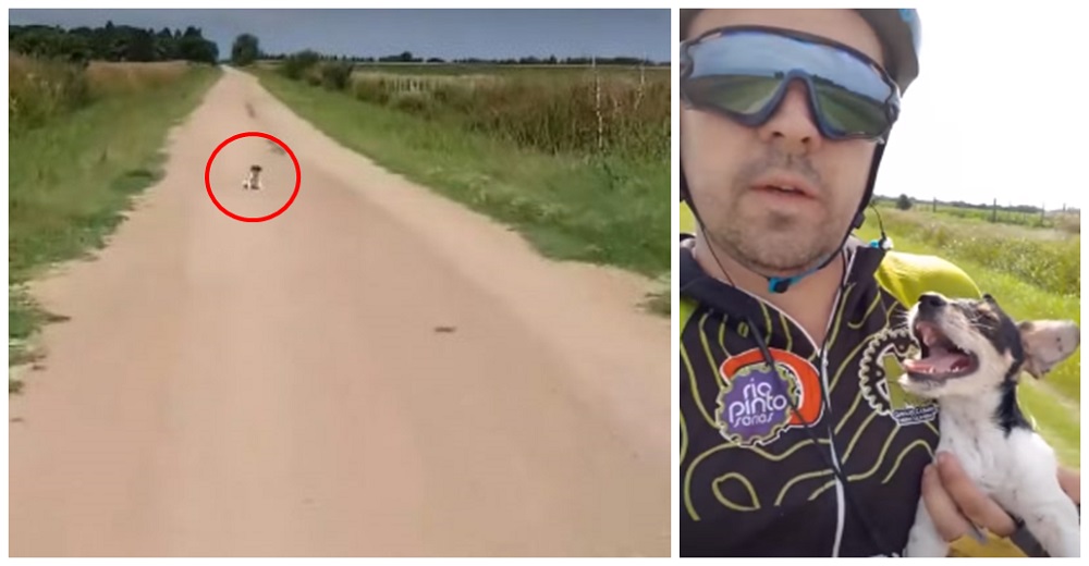 Una pequeña cachorrita tirada a su suerte se encuentra con su héroe en medio de la nada Una pequeña cachorrita tirada a su suerte se encuentra con su héroe en medio de la nada