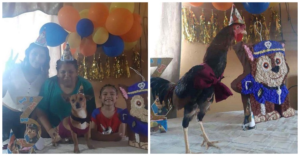 Se convierten en blanco de críticas por el «derroche» en la fiesta de cumpleaños de su perrito