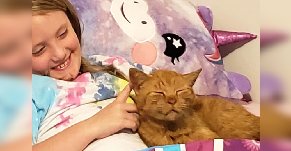 Se queda desconcertada cuando descubre que su hija tiene pijamadas con un gato desconocido Se queda desconcertada cuando descubre que su hija tiene pijamadas con un gato desconocido