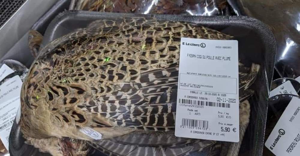 Ofrecen animales enteros empacados en bandejas en el supermercado causando indignación